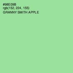 #98E09B - Granny Smith Apple Color Image
